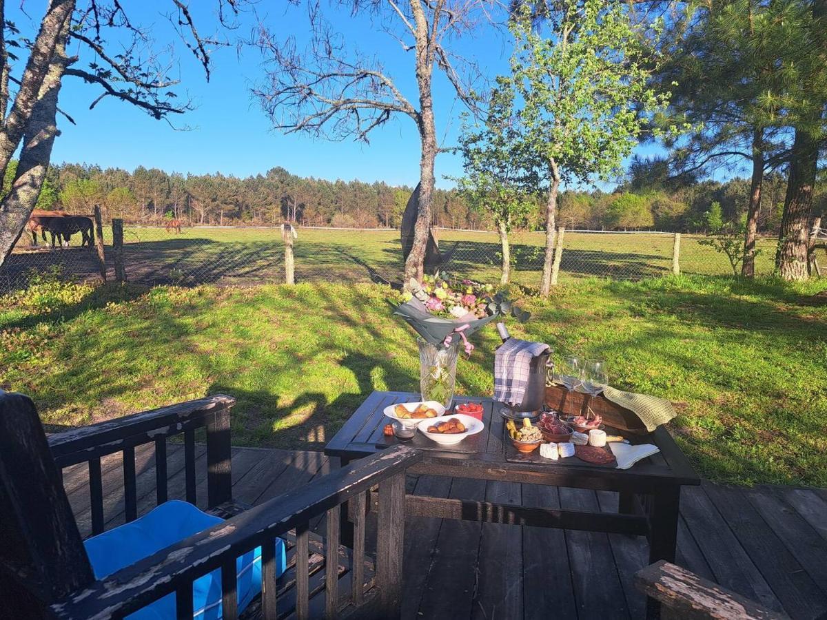 Domaine L'Oree Du Marais Le Barp Esterno foto